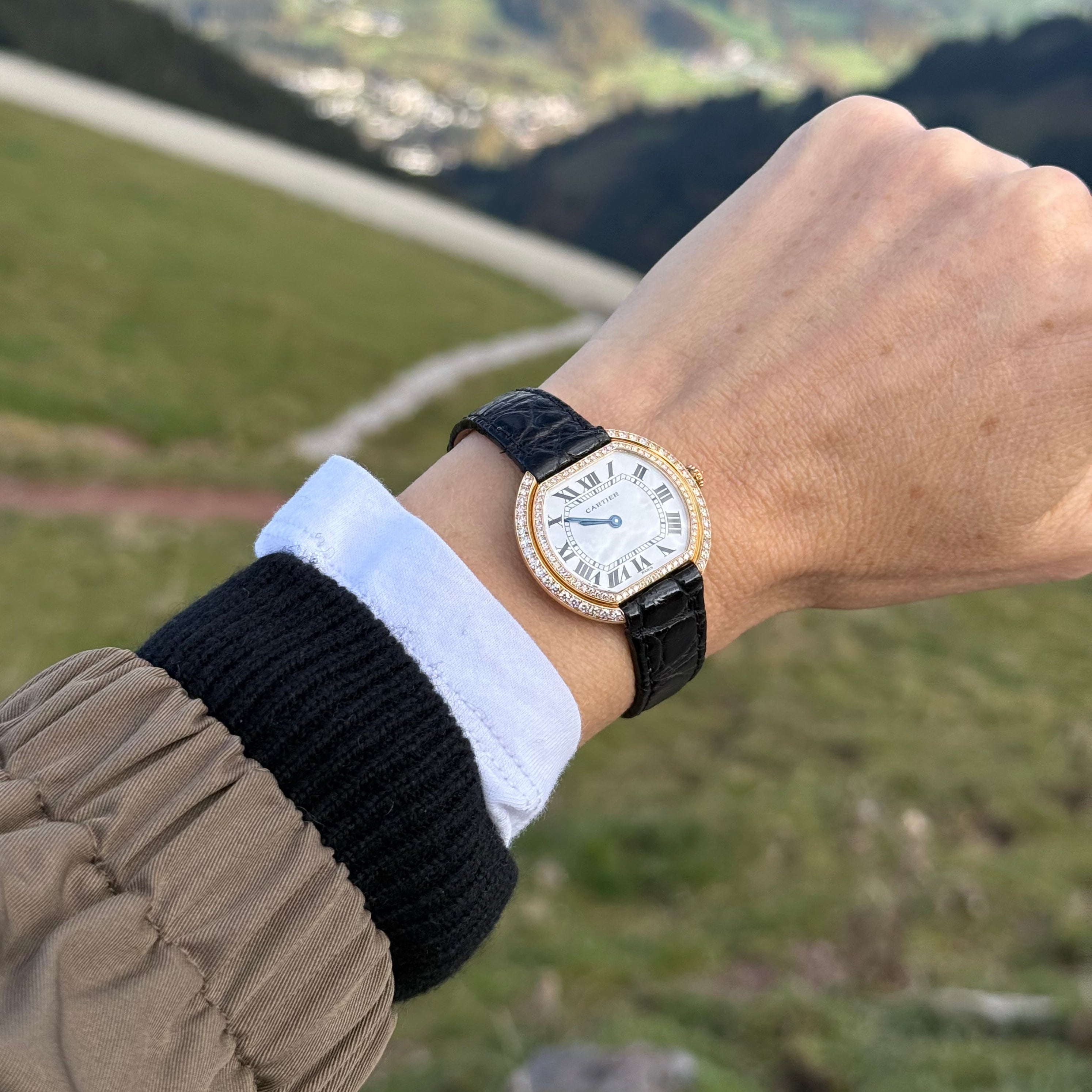 Vintage Cartier Elipse Pave Face